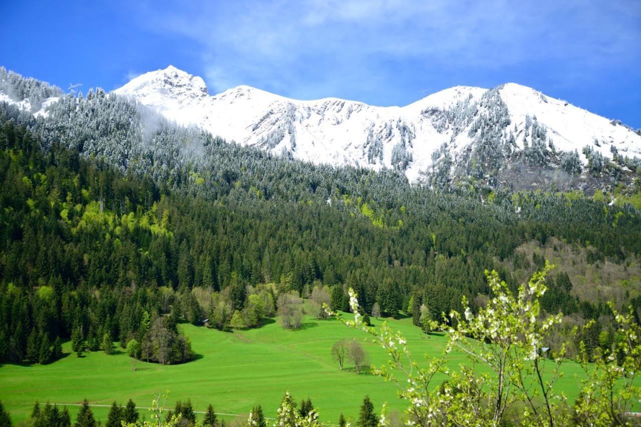 Chalet Cannelle Шатель Экстерьер фото