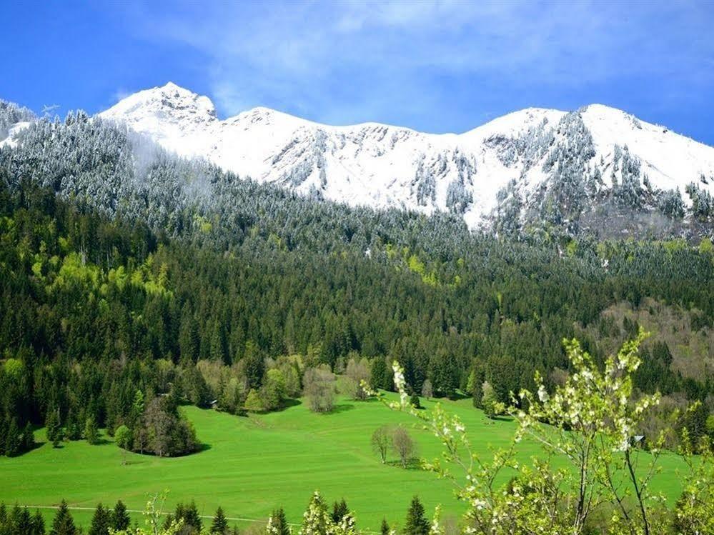 Chalet Cannelle Шатель Экстерьер фото