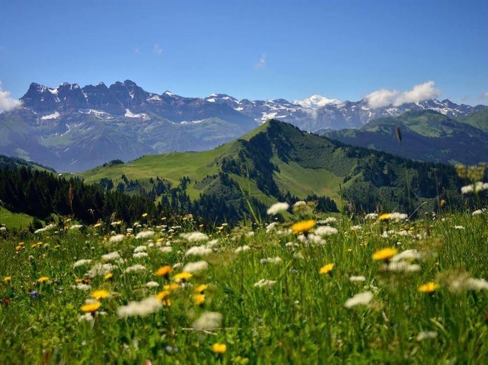 Chalet Cannelle Шатель Экстерьер фото